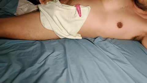 Snapshot of tanteiharvest chatting on 02-26-25, 06:47 Harv online show from 02-26-25, 06:47