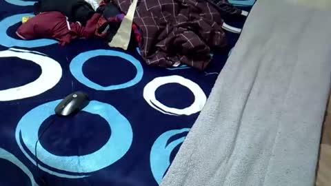 tastie_t online show from 11-01-25, 06:04