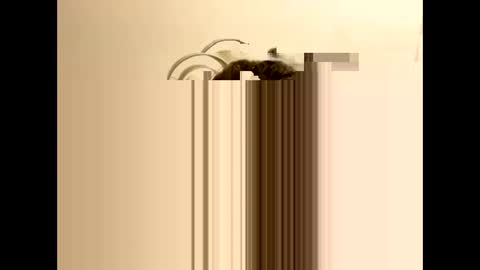 Snapshot of tastytexas24 chatting on 02-09-26, 12:47 tastytexas24 online show from 02-09-26, 12:47