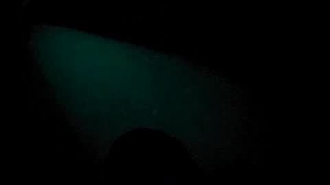 Beliqnegar online show from 07-04-26, 07:42