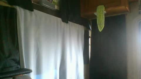 Snapshot of taylafox chatting on 02-07-25, 09:26 taylafox online show from 02-07-25, 09:26