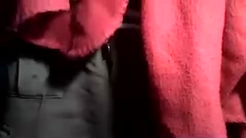 taylor3made online show from 06-21-26, 02:58