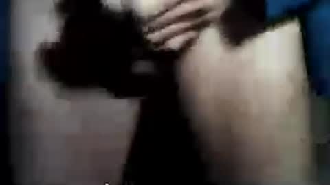 taylor3made online show from 07-06-26, 12:29