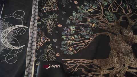 Snapshot of tealjobe chatting on 12-12-24, 06:25 tealjobe online show from 12-12-24, 06:25
