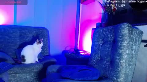 Charlee He online show from 06-07-26, 02:59
