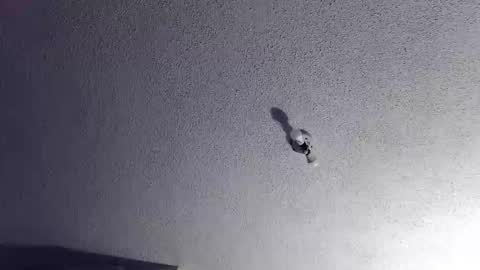 Snapshot of technosex14 chatting on 11-20-25, 03:28 technosex14 online show from 11-20-25, 03:28