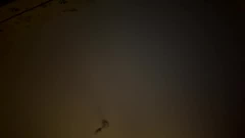 teecup4osk online show from 02-08-26, 04:38