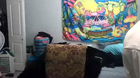 tehkie online show from 06-24-26, 11:48