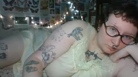 Snapshot of temptresschey444 chatting on 03-05-26, 03:08 temptresschey444 online show from 03-05-26, 03:08