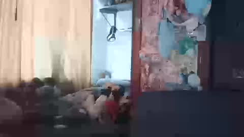 Terra Elowen online show from 03-20-26, 01:27