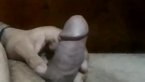 Snapshot of texasbigdaddy63 chatting on 09-19-25, 10:43 texasbigdaddy63 online show from 09-19-25, 10:43