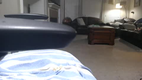 texasmale53 online show from 06-19-26, 02:38