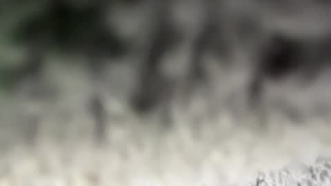 thankyoudaddy1 online show from 03-15-26, 07:36