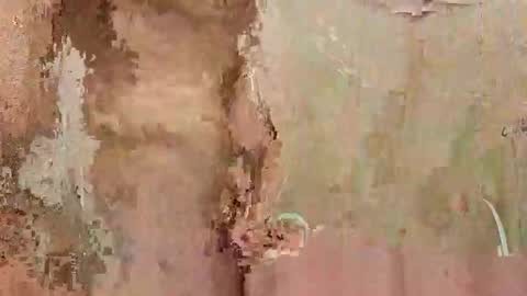 the1st_play_girl online show from 12-30-24, 06:27