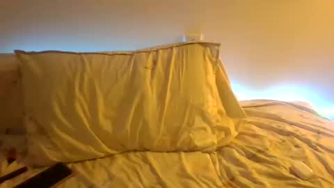 Snapshot of the_borderlands chatting on 12-19-25, 04:25 the crazy travellers online show from 12-19-25, 04:25