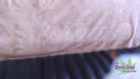 Snapshot of thebeejayshow chatting on 12-04-24, 01:36 TheBeeJayShow online show from 12-04-24, 01:36