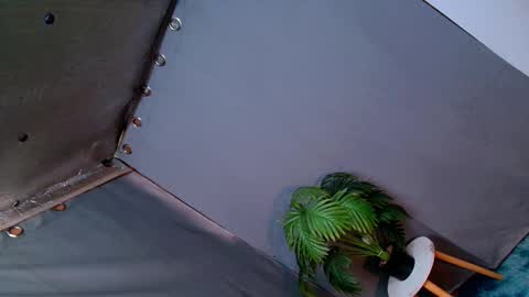 Snapshot of thedevil_inme chatting on 12-13-24, 12:20 Lana But you can spell it backwards online show from 12-13-24, 12:20