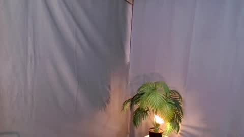 Snapshot of thedevil_inme chatting on 12-17-24, 08:34 Lana But you can spell it backwards online show from 12-17-24, 08:34