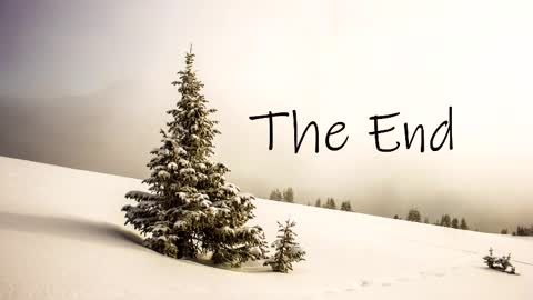 thedome372 online show from 03-03-25, 10:42