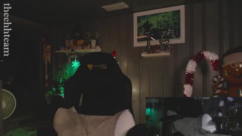 Snapshot of theehhteam chatting on 12-11-24, 01:15 H online show from 12-11-24, 01:15