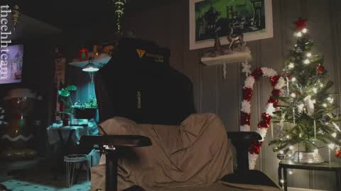 Snapshot of theehhteam chatting on 12-25-24, 08:17 H online show from 12-25-24, 08:17