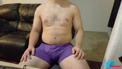 Snapshot of thekodyy chatting on 06-14-26, 09:00 thekodyy online show from 06-14-26, 09:00