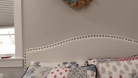 Snapshot of thelipsdown chatting on 12-01-24, 06:19 Lacey online show from 12-01-24, 06:19