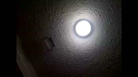 Snapshot of theplayfulbbw chatting on 01-17-26, 02:44 Amelia online show from 01-17-26, 02:44