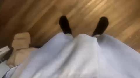 theplummer99 online show from 10-11-25, 01:53