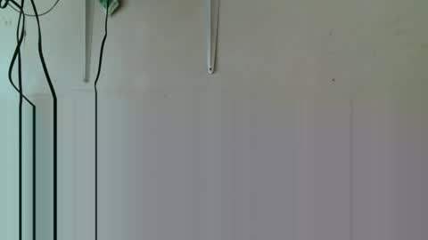 fin online show from 11-05-25, 03:39