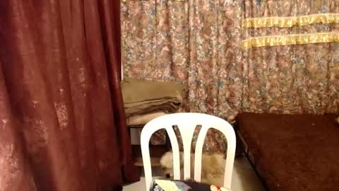 MIMI online show from 02-12-25, 09:52