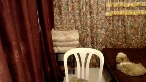 MIMI online show from 03-01-25, 07:30