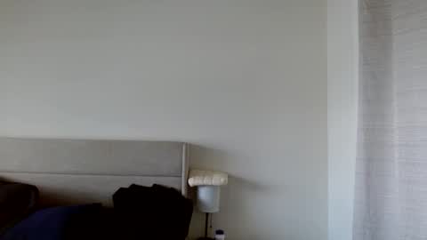 Snapshot of therealkingyoshi chatting on 11-25-25, 06:08 Yoshi online show from 11-25-25, 06:08