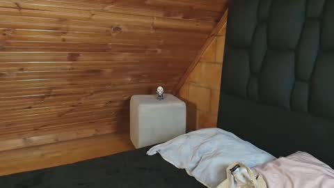 Snapshot of thiago_n_sam chatting on 11-01-25, 12:01 thiago_n_sam online show from 11-01-25, 12:01