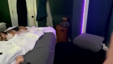 Snapshot of thick_d_energy chatting on 03-12-26, 04:51 Thick D Bottom online show from 03-12-26, 04:51