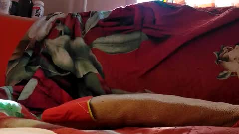 MilkyChoco online show from 04-29-26, 08:07