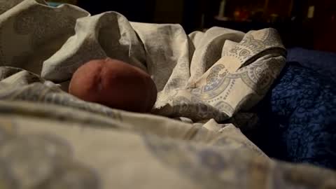 thisloadsforu online show from 02-09-25, 07:16