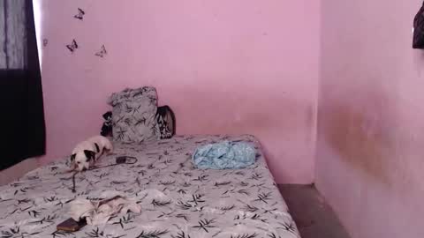 Tiana online show from 11-06-25, 09:37