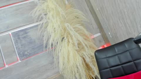 Snapshot of tiff_valentine chatting on 02-05-25, 07:50 Tiffany online show from 02-05-25, 07:50