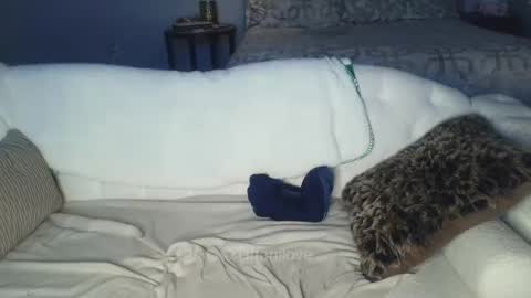 Snapshot of tiffanilove chatting on 02-08-25, 01:00 Tiffani Love online show from 02-08-25, 01:00