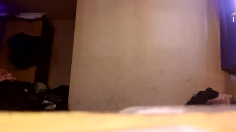 Tiger Lexy online show from 05-04-26, 11:28