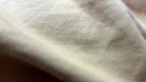 Snapshot of timber2255 chatting on 10-31-25, 02:07 timber2255 online show from 10-31-25, 02:07