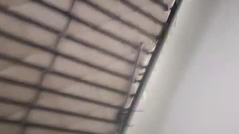 Snapshot of timmy808808 chatting on 01-03-25, 09:25 timmy808808 online show from 01-03-25, 09:25