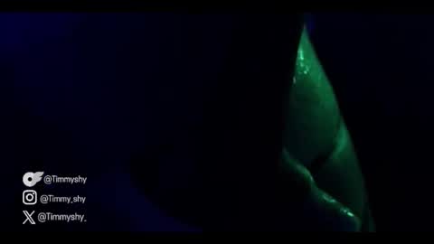 Snapshot of timmyshy chatting on 11-22-25, 09:14 timmyshy online show from 11-22-25, 09:14