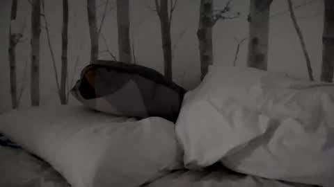 Snapshot of timtim777888 chatting on 03-11-25, 08:30 Tim online show from 03-11-25, 08:30