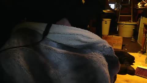 Snapshot of tinkertrain420 chatting on 12-02-24, 09:56 tinkertrain420 online show from 12-02-24, 09:56