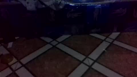 Snapshot of tino1roy chatting on 03-24-26, 07:13 tino1roy online show from 03-24-26, 07:13