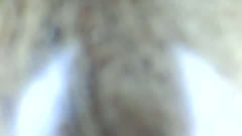 tinypecker6 online show from 06-08-26, 05:57