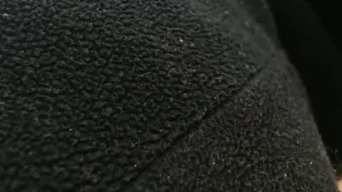 Snapshot of tinyslut66 chatting on 11-17-25, 10:59 tinyslut66 online show from 11-17-25, 10:59