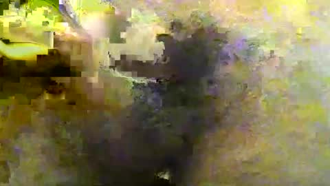 Snapshot of tirius_barkhan chatting on 11-30-25, 06:45 Tirius Barkhan online show from 11-30-25, 06:45